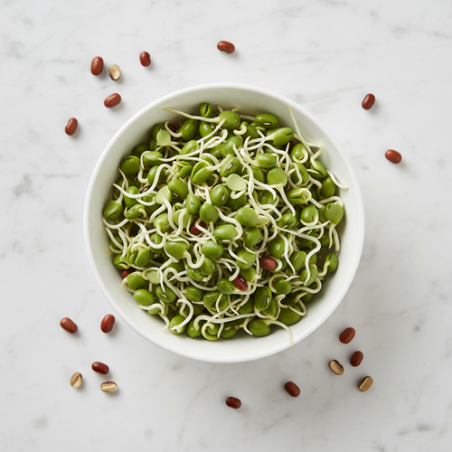 Fresh moth bean sprouts in a white ceramic bowl, flat lay view