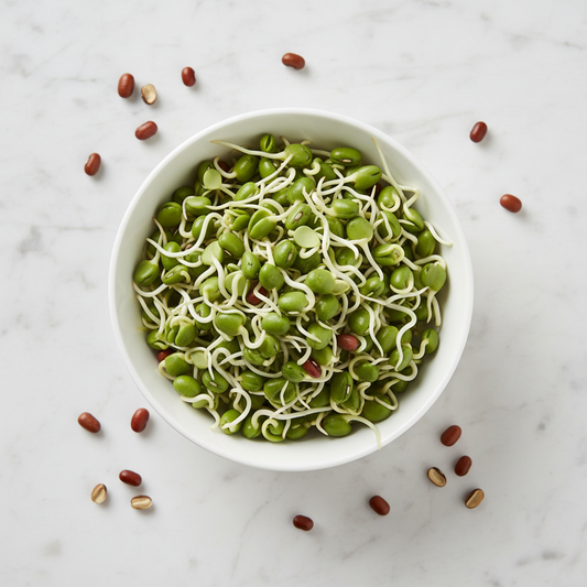 Fresh moth bean sprouts in a white ceramic bowl, flat lay view