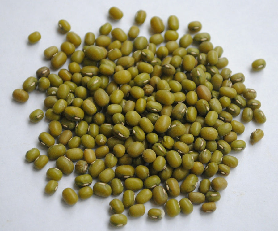 Fresh Sprouts