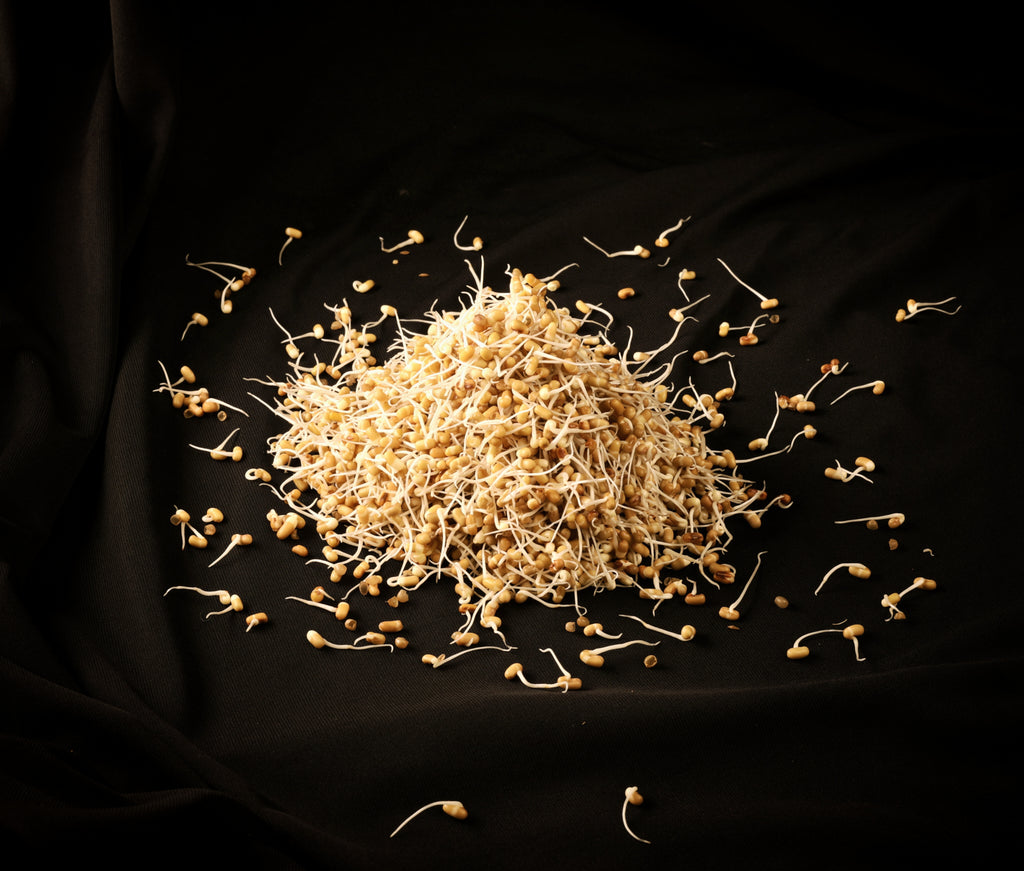 Sprozan SproutPure