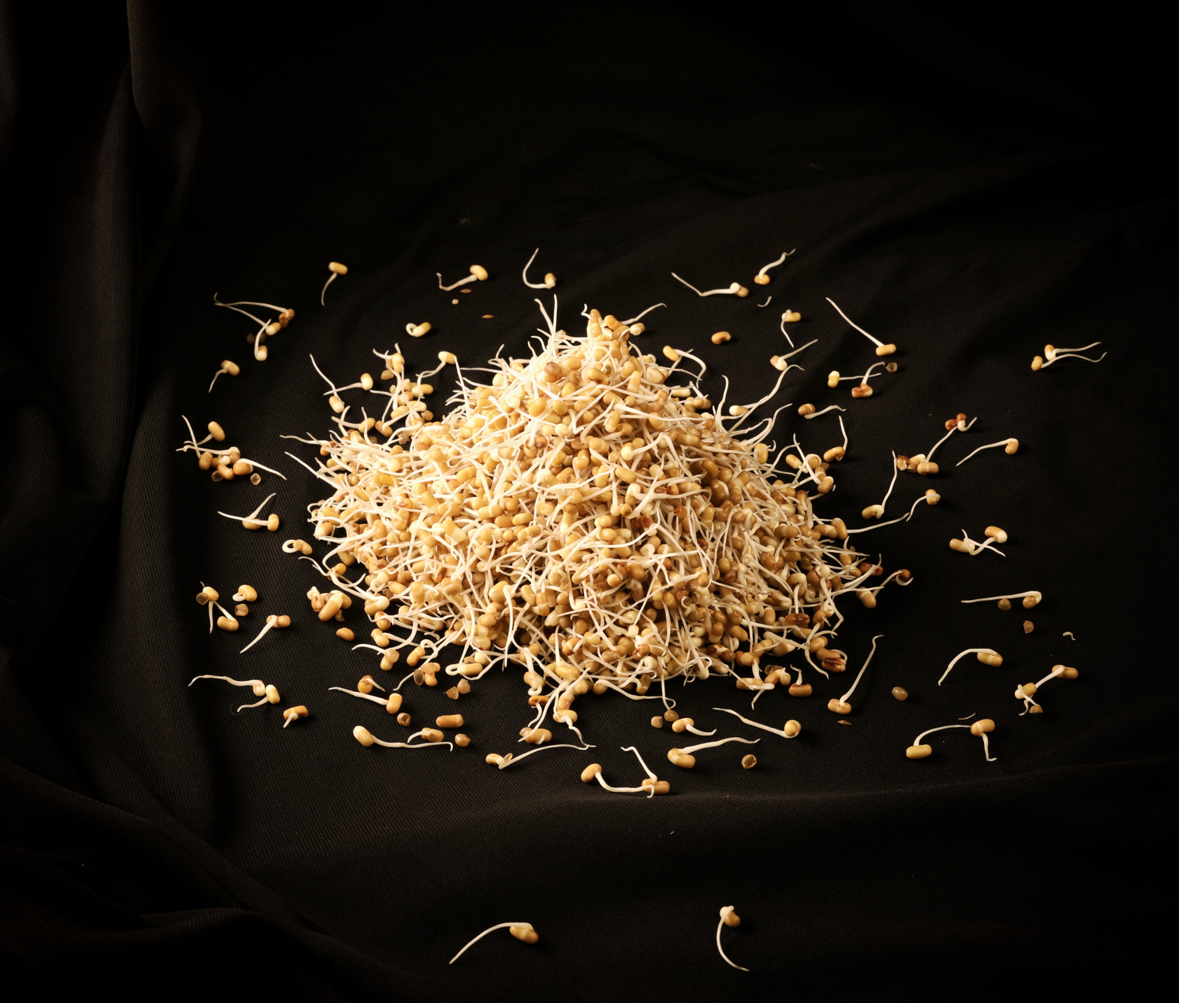 Sprozan SproutPure